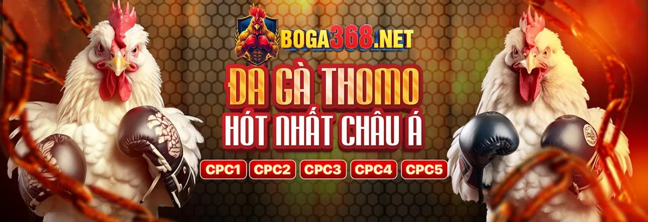 Hoàn trả cược thua tài xỉu hàng tuần